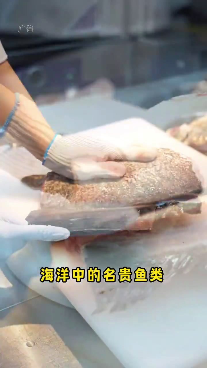 哪里可以買到活龍躉魚？