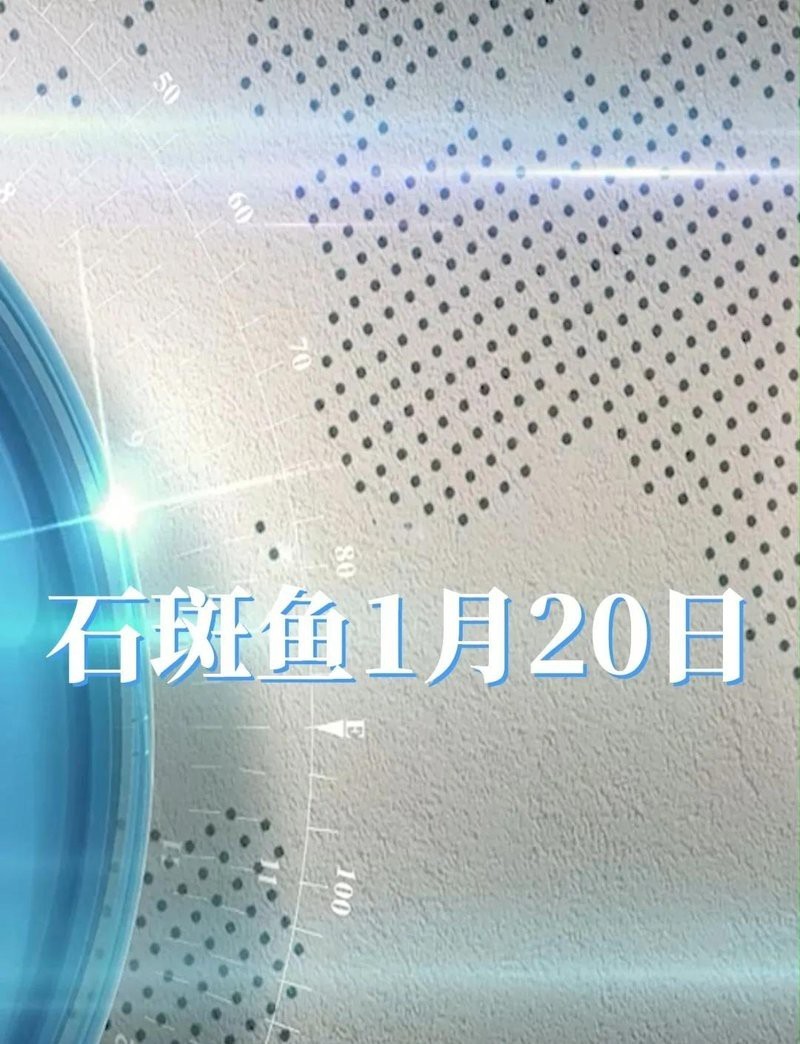 石斑魚一般多少錢一斤