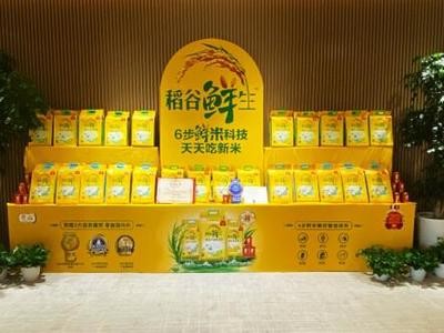 紅龍魚用什么顏色的背景畫好呢圖片視頻（紅龍魚用什么顏色的背景畫好呢圖片視頻教程）