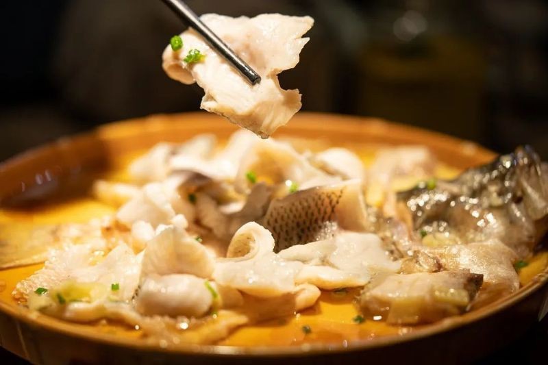 海龍魚有哪些營養價值 海龍魚有哪些營養價值 龍魚論壇 第1張