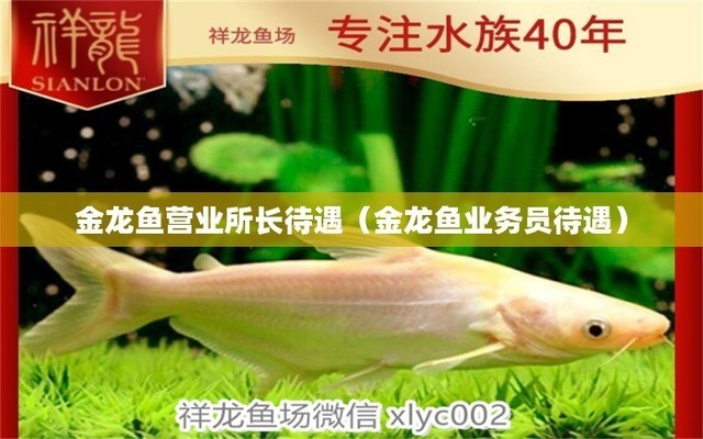 懷來縣沙城鎮新華觀賞魚店（懷來縣新華書店營業時間） 懷來縣沙城鎮新華觀賞魚店（懷來縣新華書店營業時間） 全國水族館企業名錄