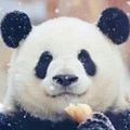 胡姬花最建議買的三個產品