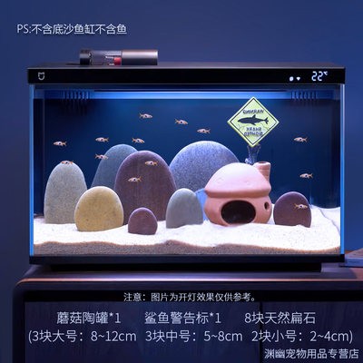 銀龍魚圖片價(jià)格表最新（銀龍魚圖片價(jià)格表最新版）