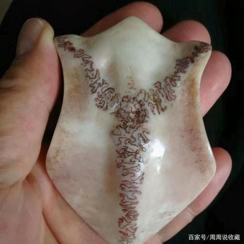 虎的三界帶血真品圖片