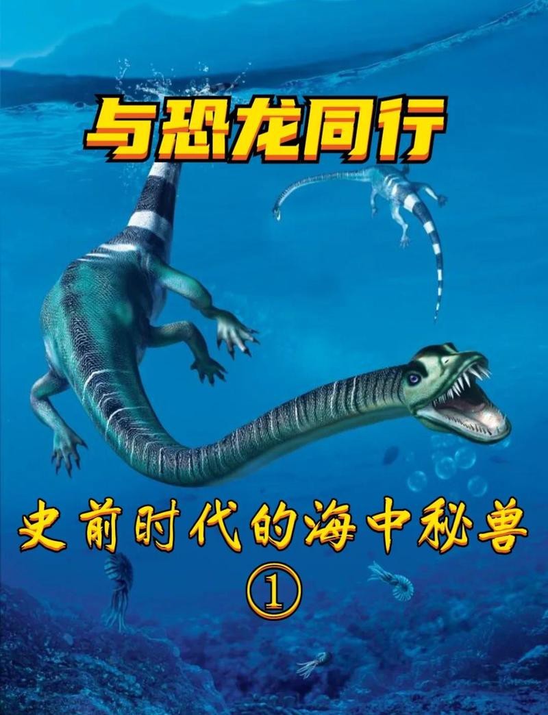 魚龍都有什么品種