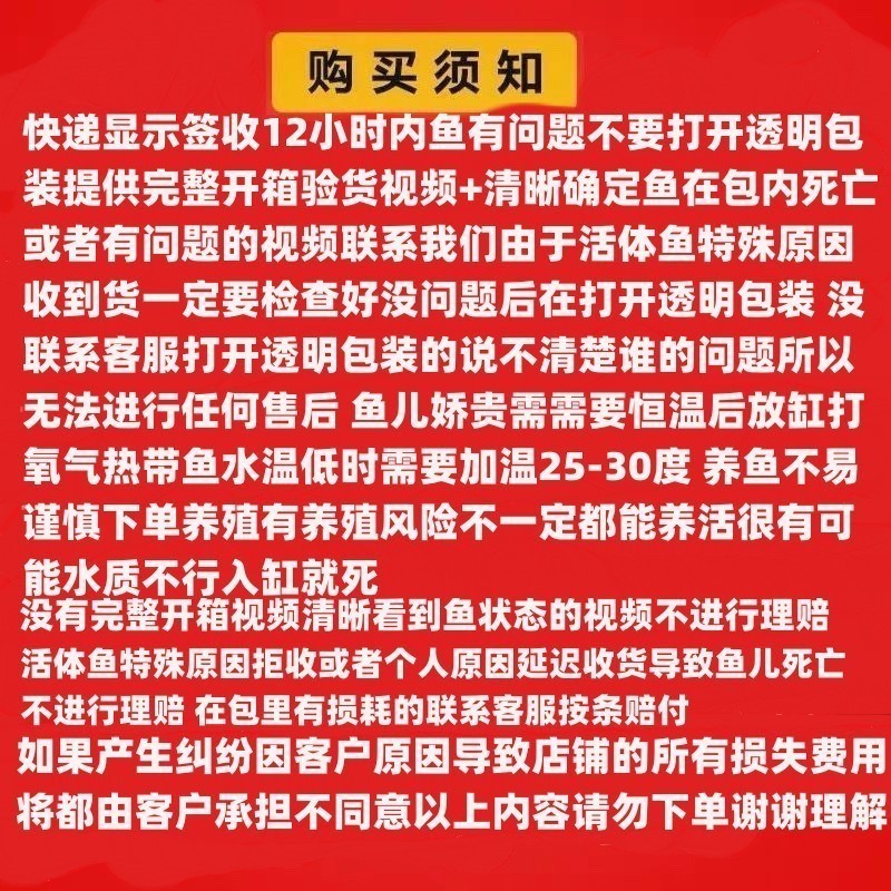 黃化銀龍魚多少錢一條啊圖片欣賞 黃化銀龍魚多少錢一條啊圖片欣賞 龍魚百科 第29張