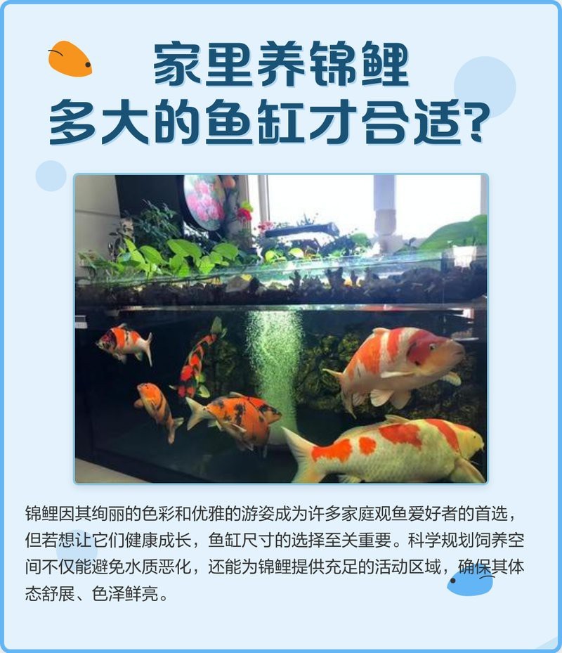 魚缸尺寸120x80x60