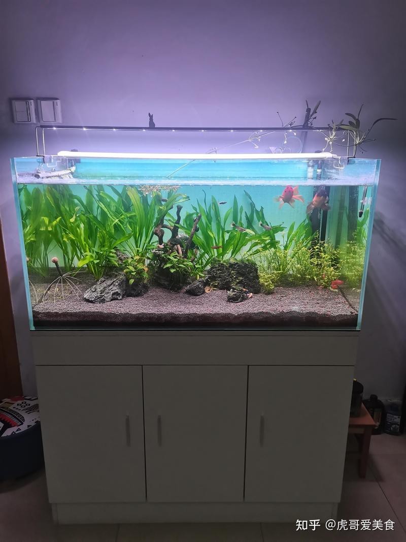魚缸尺寸120x80x60