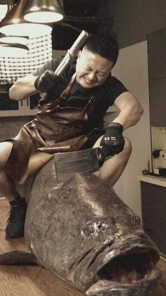 如何判斷龍躉魚是否新鮮？