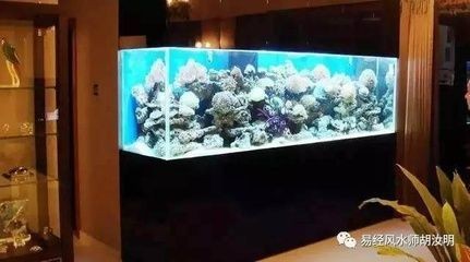 九臺區(qū)卡倫何氏觀賞魚養(yǎng)殖場（九臺區(qū)卡倫湖鎮(zhèn)2020年重大項(xiàng)目） 九臺區(qū)卡倫何氏觀賞魚養(yǎng)殖場（九臺區(qū)卡倫湖鎮(zhèn)2020年重大項(xiàng)目） 全國水族館企業(yè)名錄