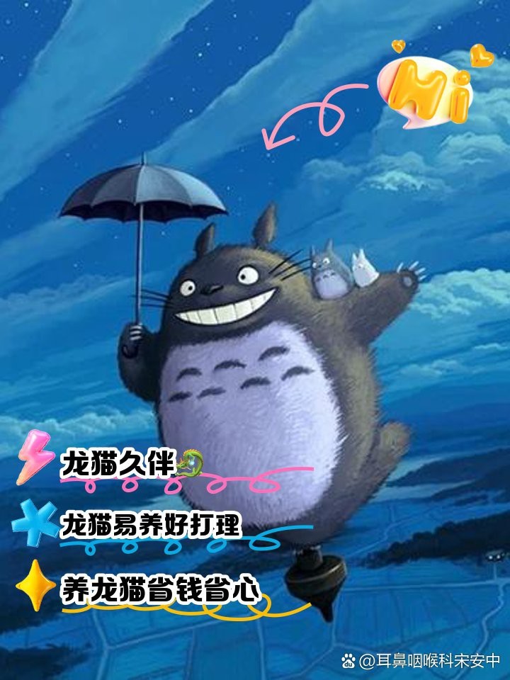 養(yǎng)龍貓的好處和壞處 養(yǎng)龍貓的好處和壞處 龍魚論壇 第1張