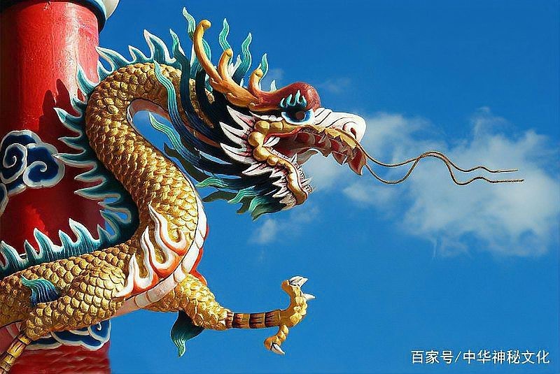 魚龍混雜代表哪個生肖