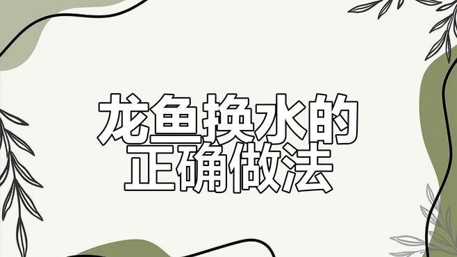 龍魚換水時需要注意什么？