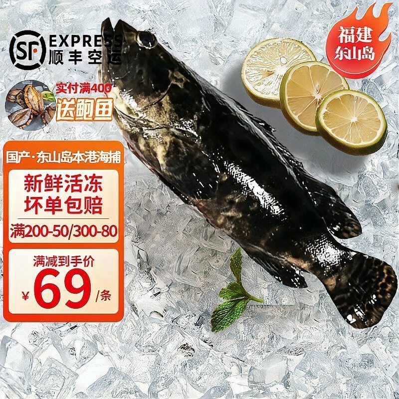 龍躉魚多少錢一斤市場價