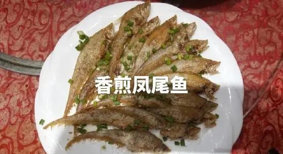 淡水鳳尾魚