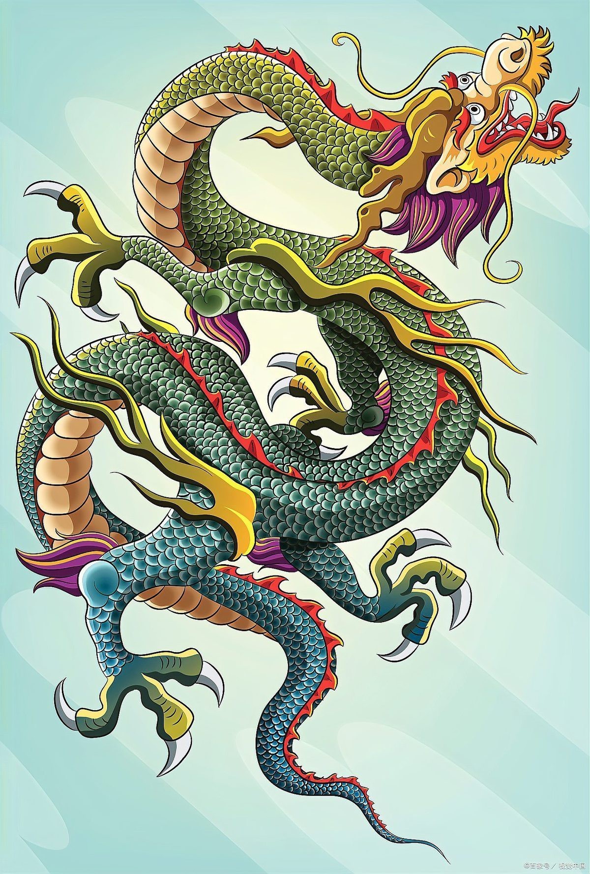 水龍好還是金龍好