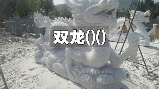 有沒有更霸氣的二龍壁紙？ 有沒有更霸氣的二龍壁紙？ 龍魚百科 第1張