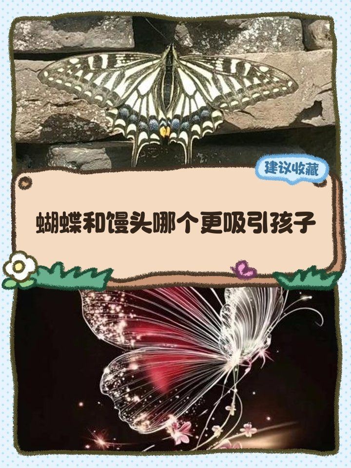 蝴蝶和饅頭哪個好玩