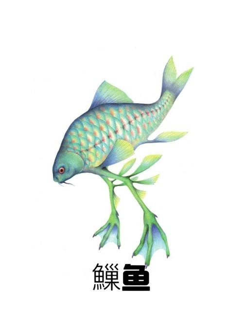 短吻鼻魚的圖片 短吻鼻魚的圖片 龍魚論壇 第14張
