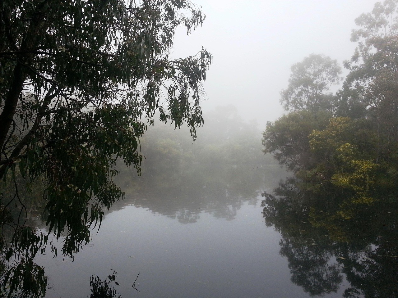 磴口縣超自然生態(tài)水景（磴口水庫）