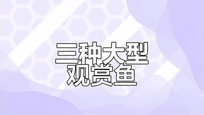龍魚和薩伊藍混養需要哪些注意事項？