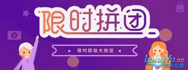 開店必備小鄰喊你來拼采想你所想與你所需