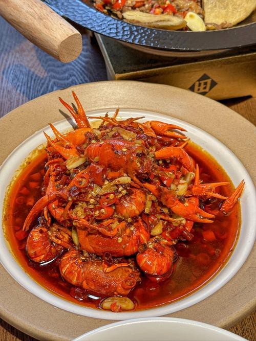 大龍蝦圖片真實