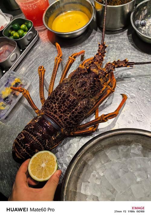 祥龍魚場(chǎng)官網(wǎng)有龍魚排行嗎？，祥龍魚場(chǎng)官網(wǎng)是否有龍魚排行 祥龍魚場(chǎng)官網(wǎng)有龍魚排行嗎？，祥龍魚場(chǎng)官網(wǎng)是否有龍魚排行 龍魚百科 第2張