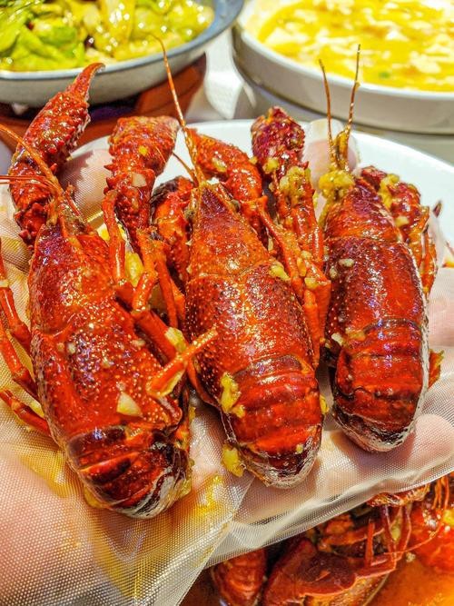 大龍蝦圖片真實