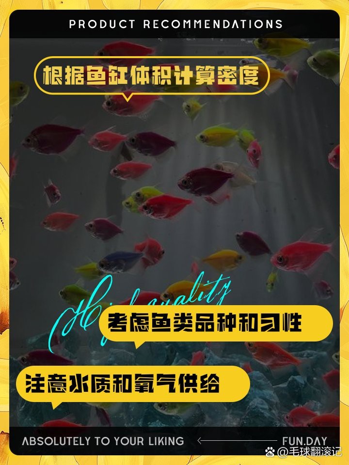 一米魚缸養20公分錦鯉多少條 一米魚缸養20公分錦鯉多少條 龍魚論壇 第1張