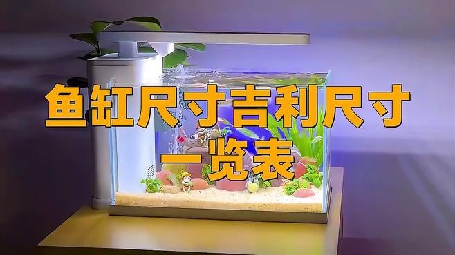 60X40X45的魚缸好看嗎
