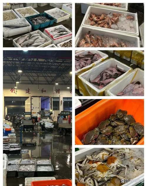 揚(yáng)州龍魚批發(fā)價(jià)格表圖片