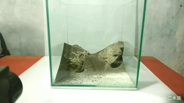 鄭州市惠濟(jì)區(qū)魚友水族館（鄭州市惠濟(jì)區(qū)魚友水族館地址）