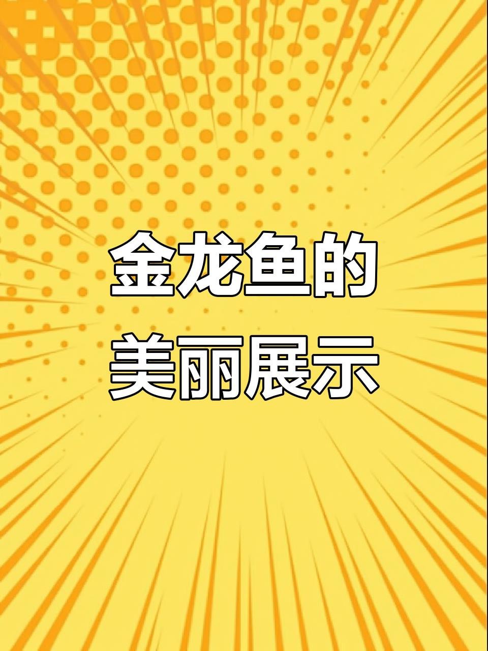 能推薦一些金龍魚觀賞視頻嗎？