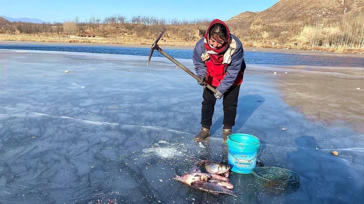 如何預(yù)防藍(lán)龍魚缺氧？