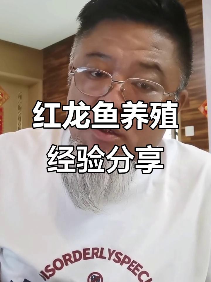 印尼超血紅龍魚的市場趨勢如何？