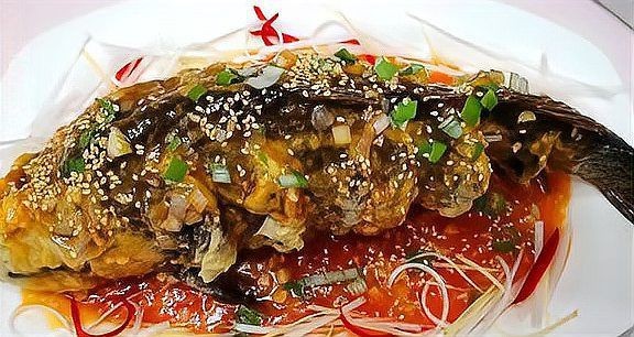 紅面財(cái)神魚最忌三種食物一覽表