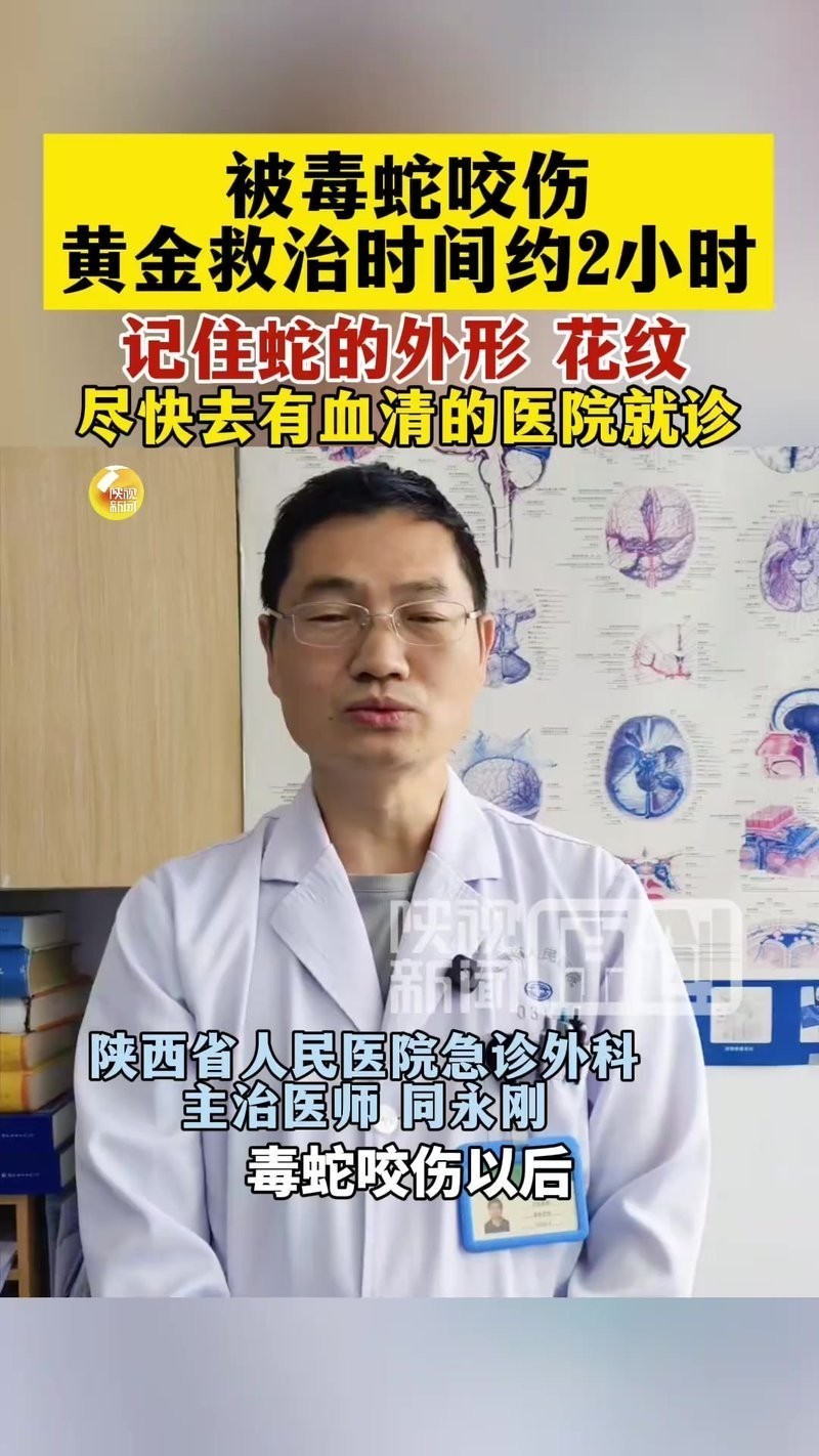 龍魚吃蜈蚣后多久會恢復？