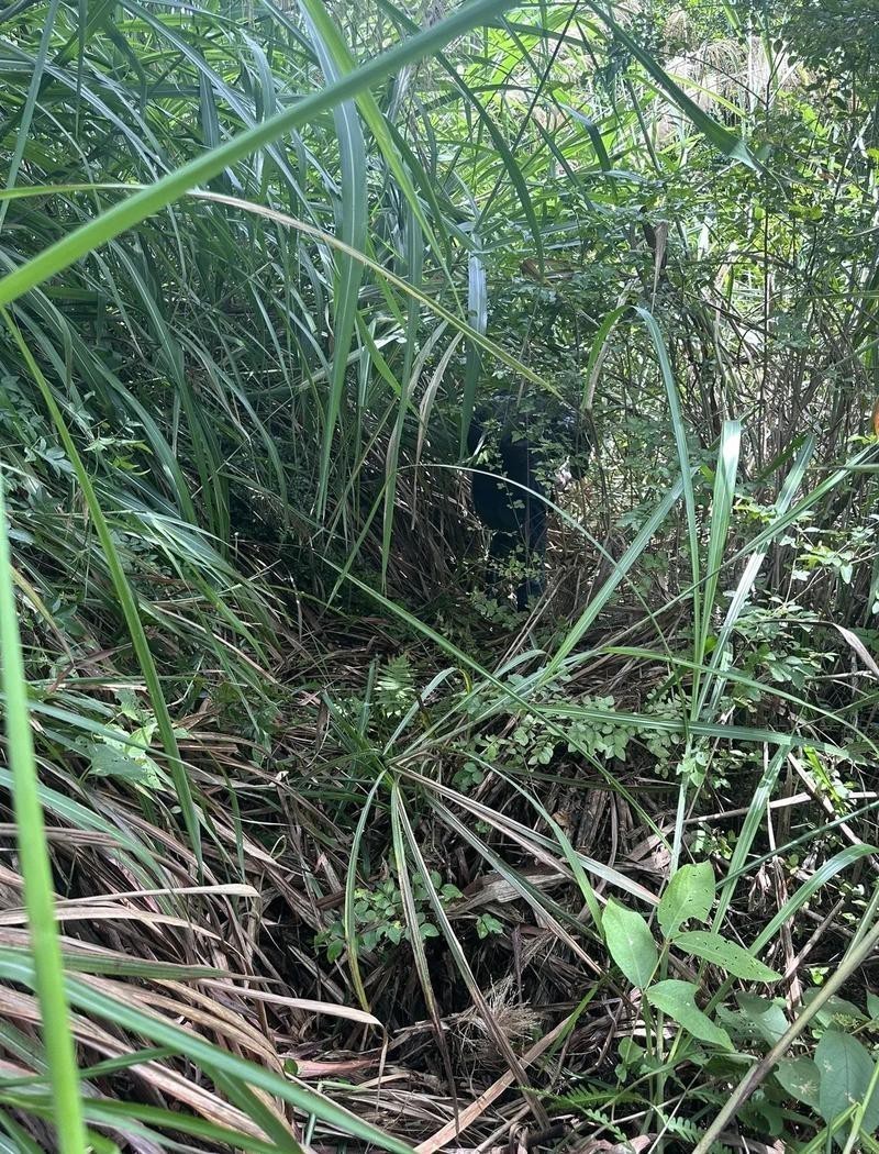 龍生推倒師母風水師 龍生推倒師母風水師 龍魚論壇 第1張