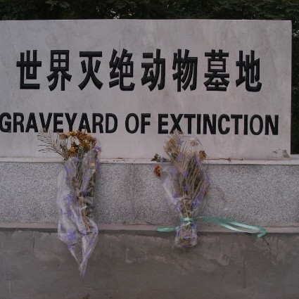 科學家禁止復活的九種動物