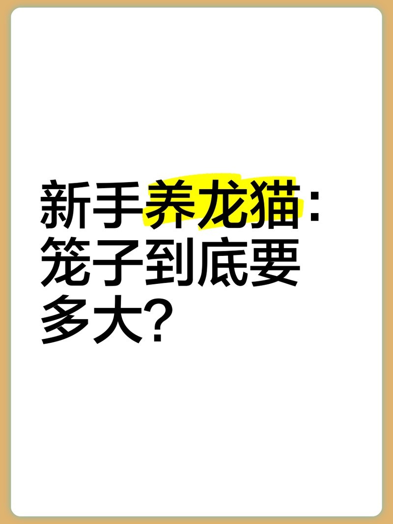 如何挑選安全的龍貓籠具？
