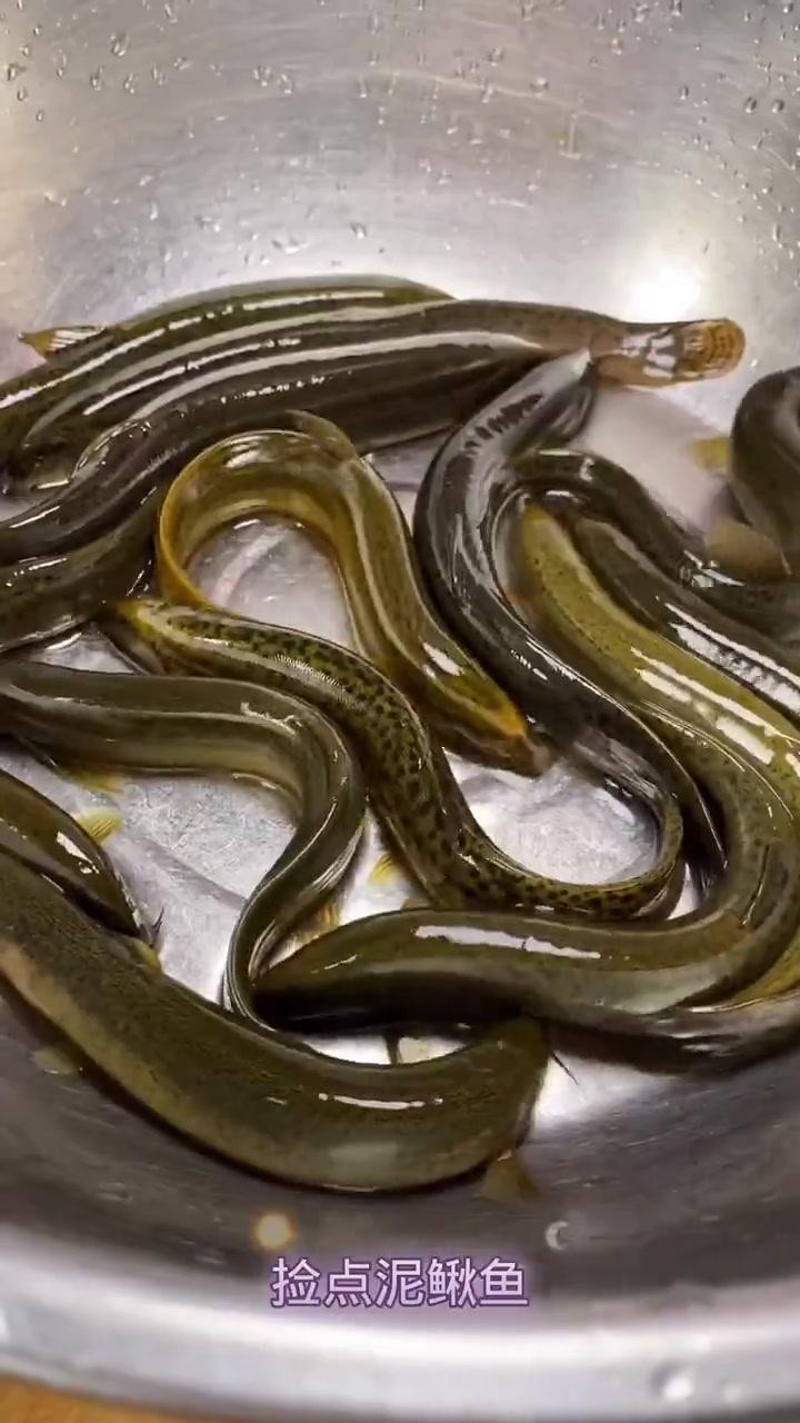 龍鰍魚有哪些烹飪方法？