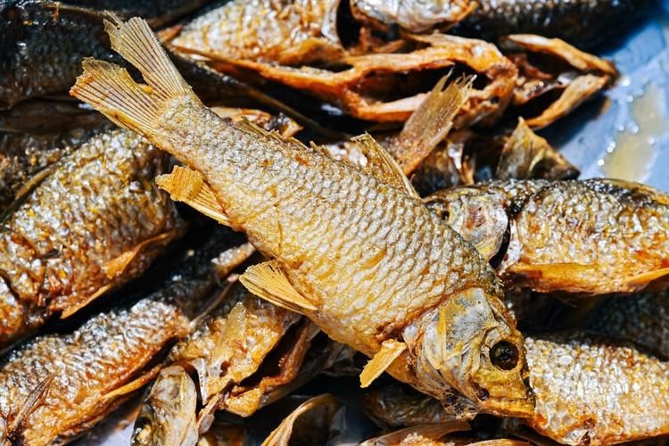 谷魚長啥樣圖片