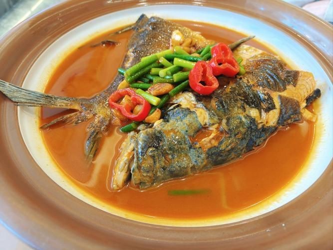 谷魚長啥樣圖片
