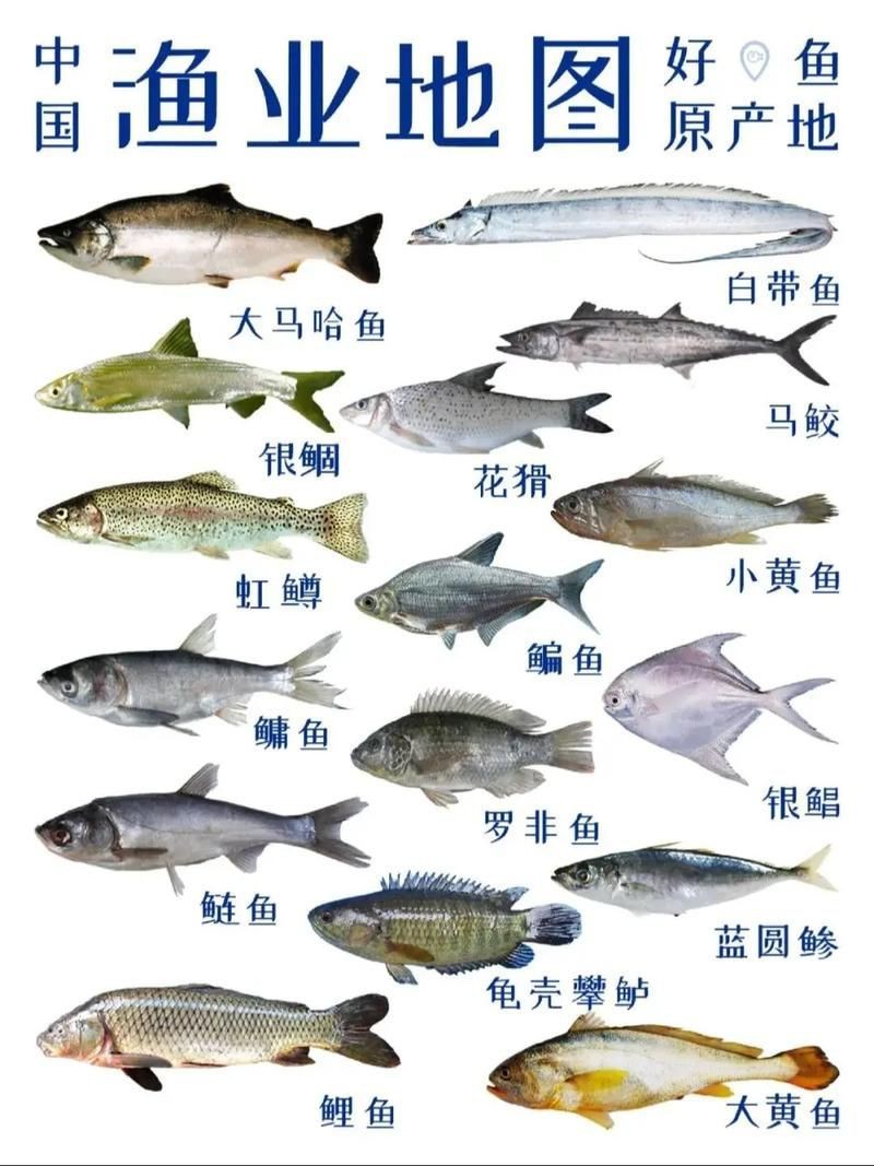 谷魚長啥樣圖片