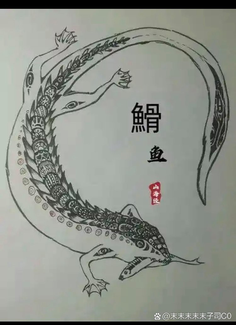 南美鰭龍魚價格 南美鰭龍魚價格 龍魚百科 第4張