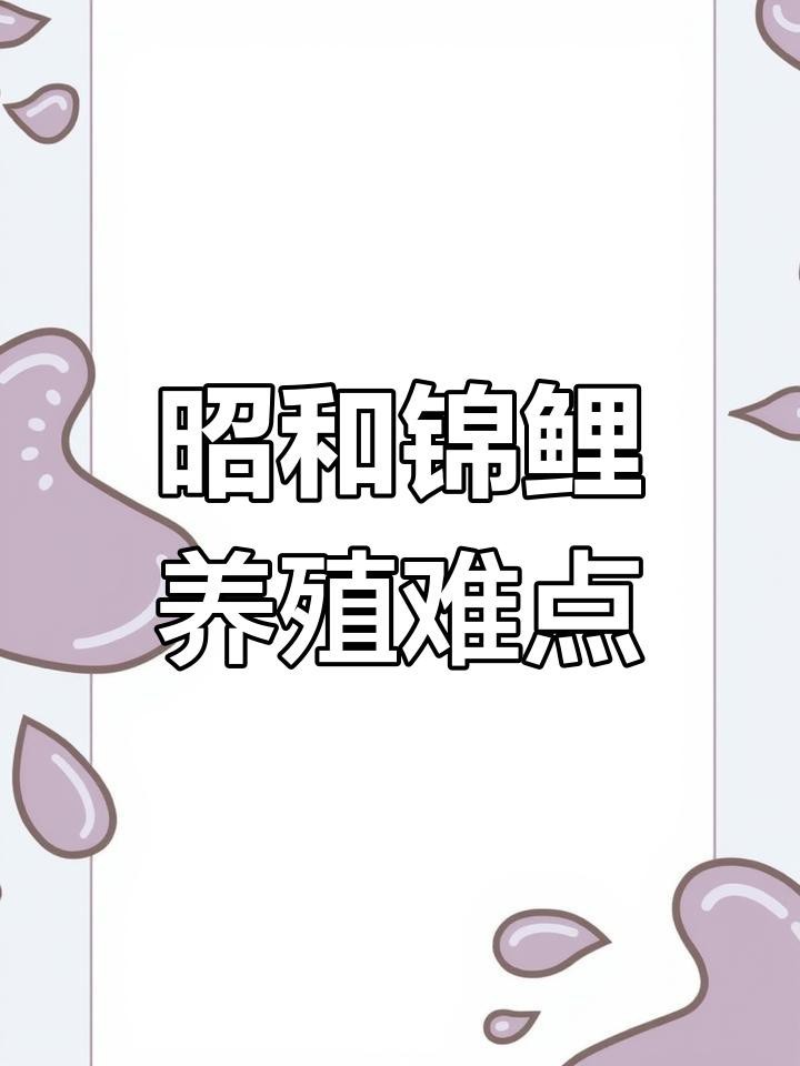 大正與昭和錦鯉哪個好養 大正與昭和錦鯉哪個好養 龍魚論壇 第8張