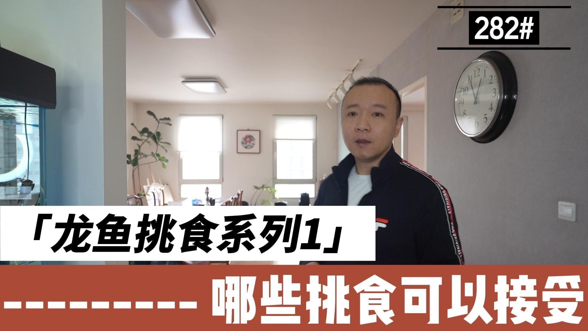 龍魚只吃飼料怎么辦啊 龍魚只吃飼料怎么辦啊 龍魚百科 第1張