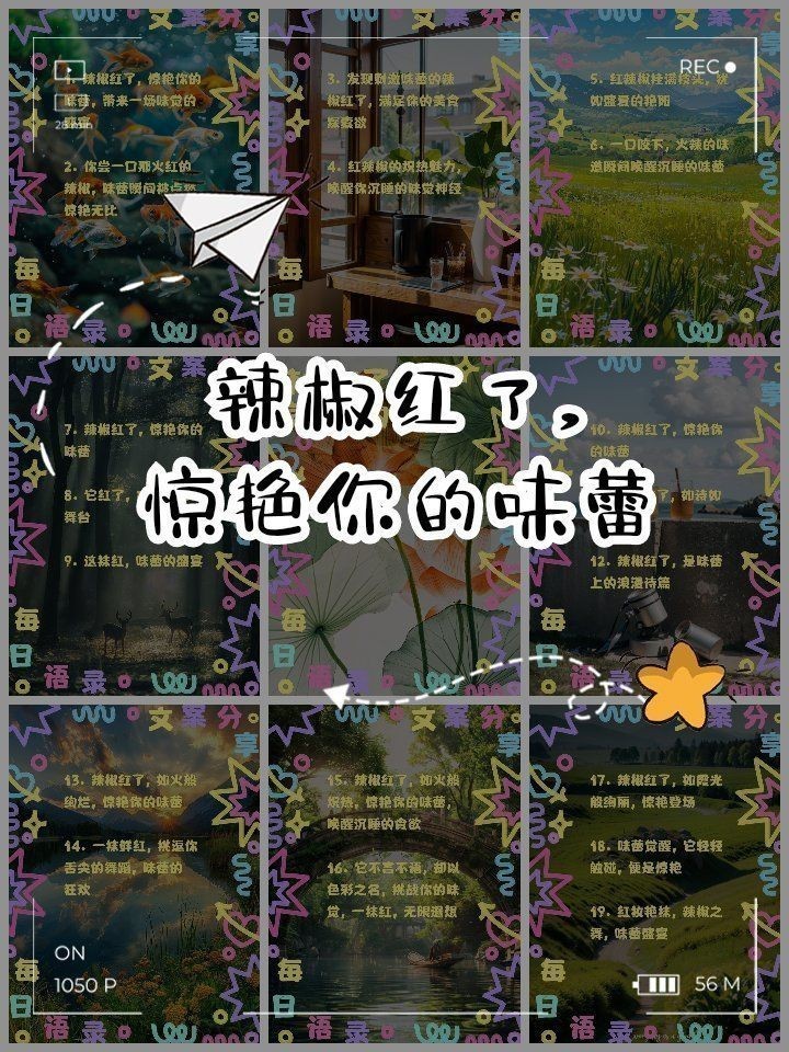 紅辣椒最火文案短句