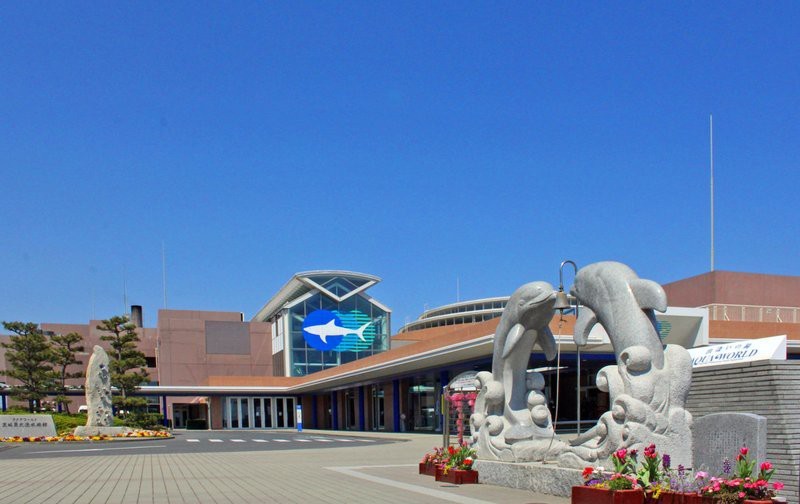 日本最大的水族館排名
